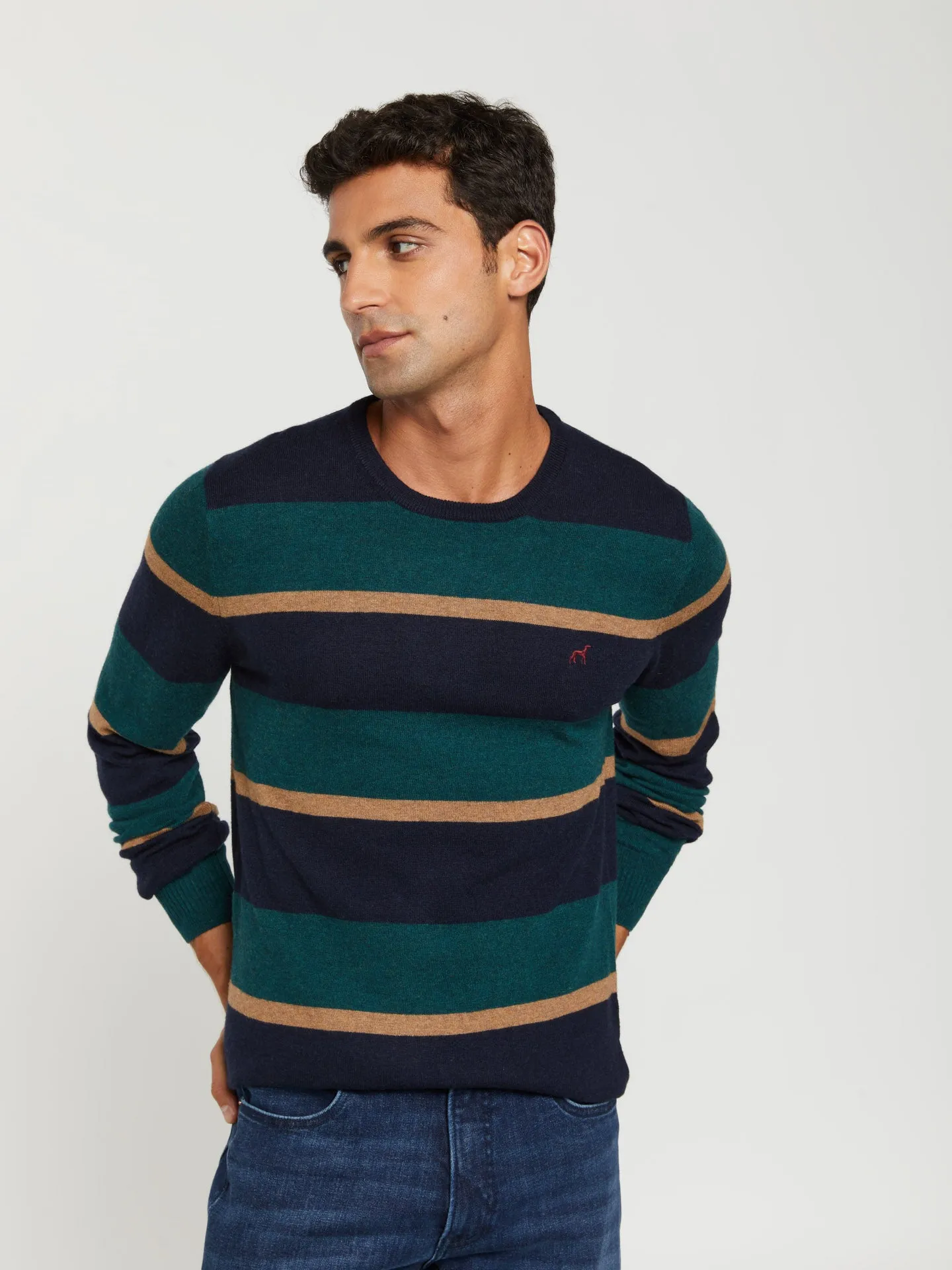 Gen z collection crew neck sweater with stripes