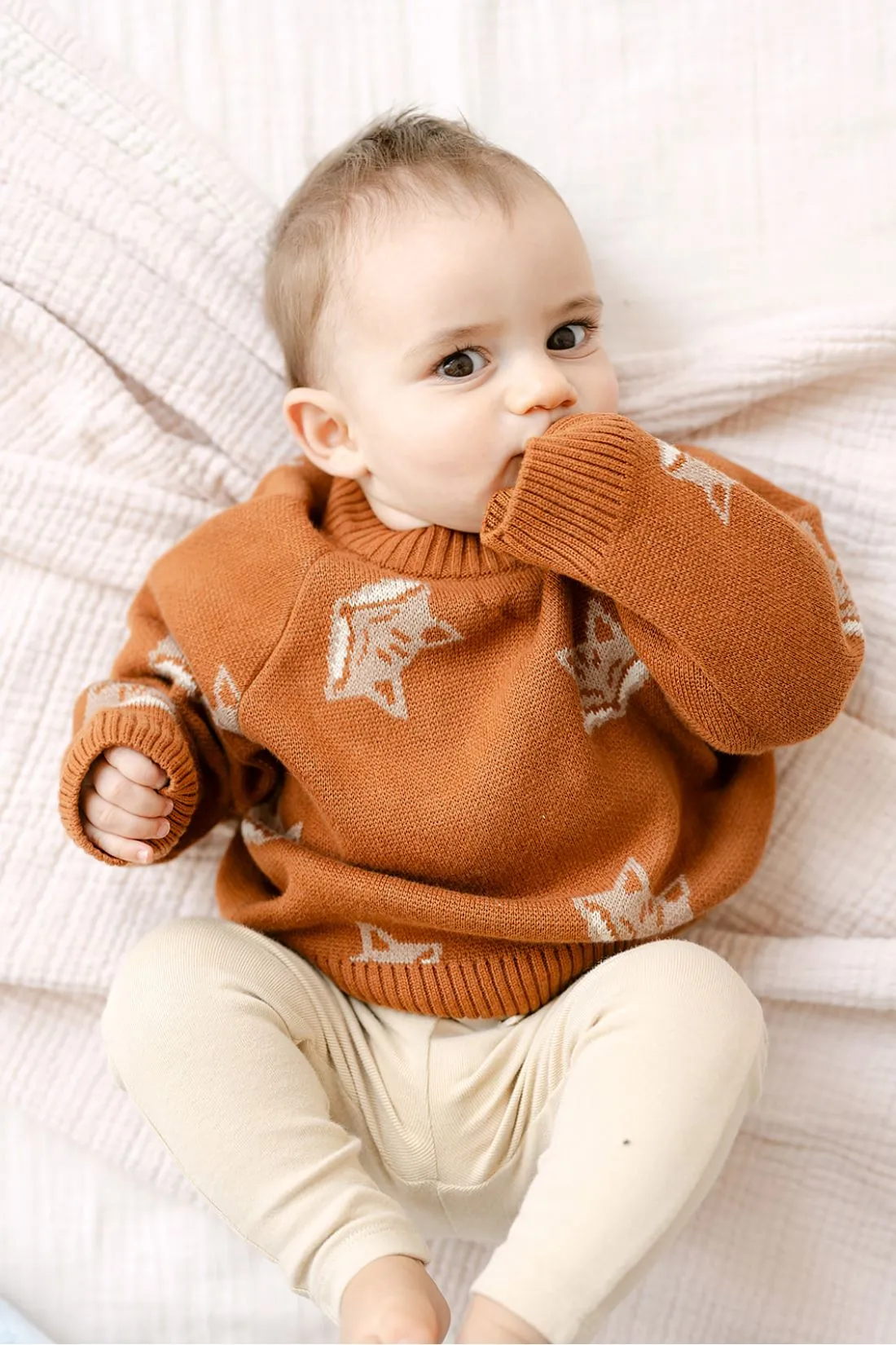Organic Fox Knit Sweater | Mocha Bisque